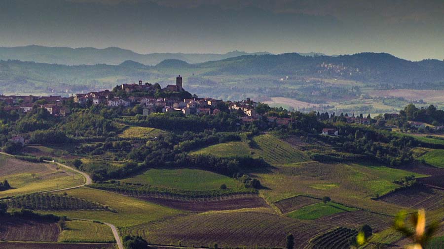 Monferrato hills